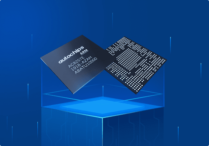 ������SoCоƬ